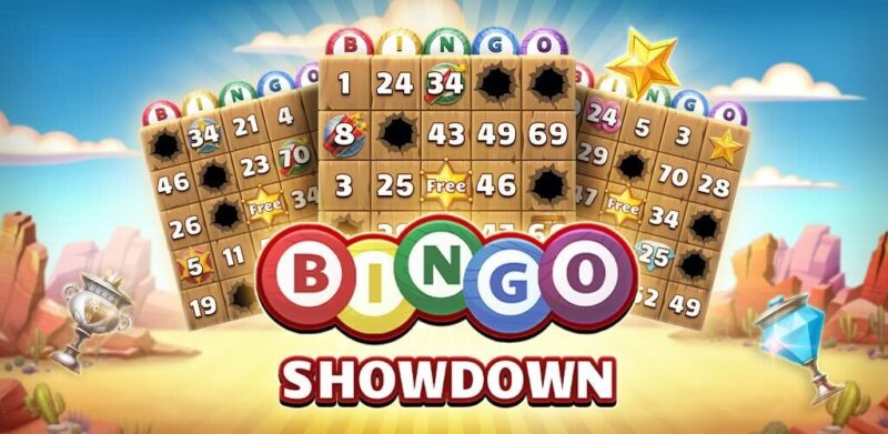 Bingo showdown